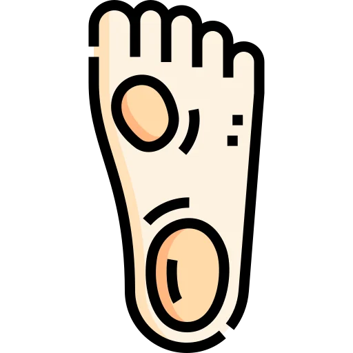 callus
