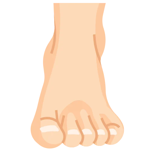 feet
