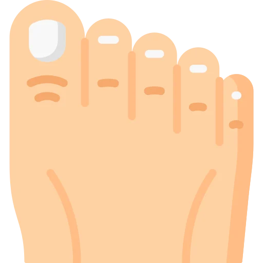 toe