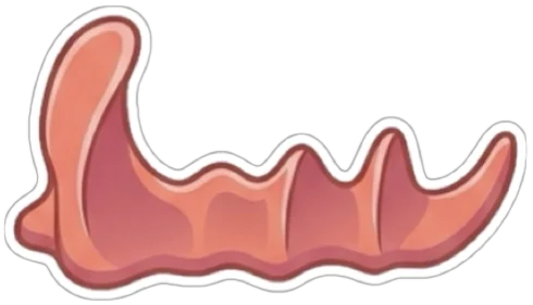 silikonortez